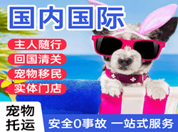 南阳姜营航空货运国际宠物托运 【国
